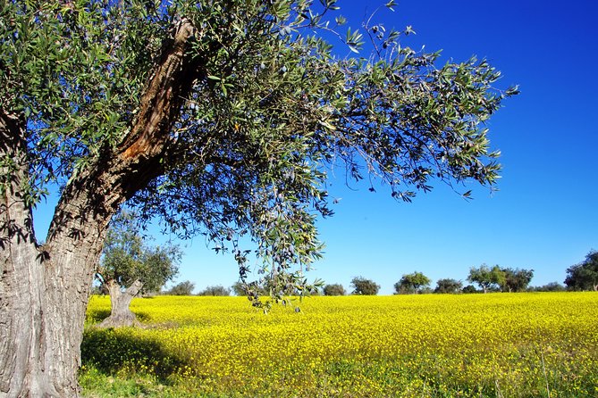 Private Day Trip to Canal,Ancient Corinth,Myceane and Nauplion - Nafplio brings the day back to street life
