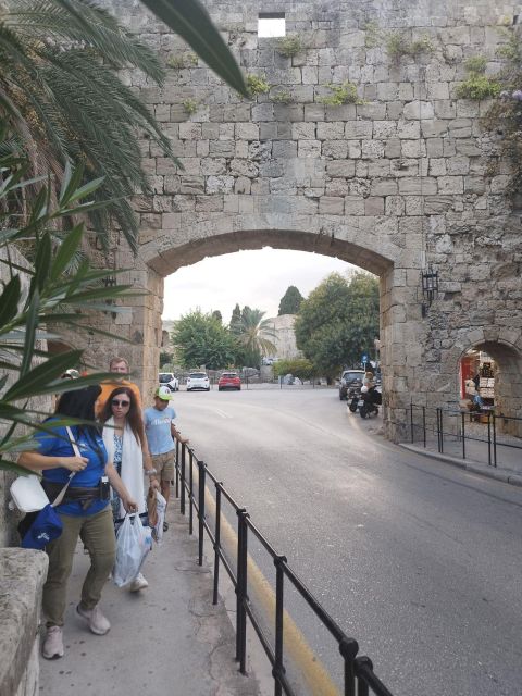 Private Daytrip to Rhodes,Lindos and Seven Springs - Who should book this Rhodes experience?