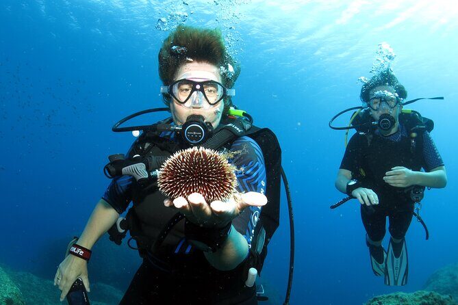 Private Discover Scuba Diving for Beginners in Athens with Pickup - The “after” part: hot showers, snacks, and debrief
