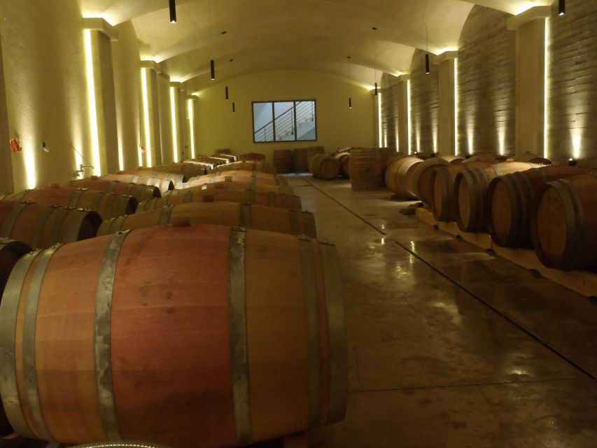 Private Exclusive Manousakis Winery and Vineyard Tour - Who should book, and who should skip it?
