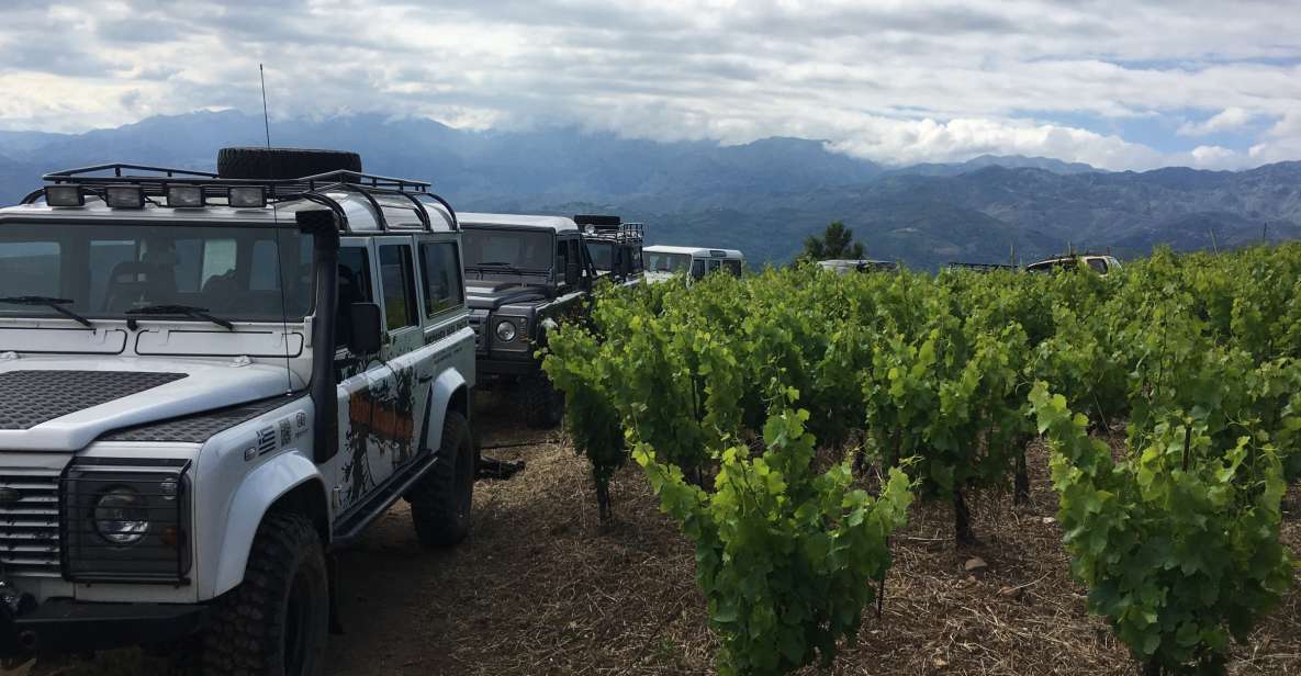 Private Exclusive Manousakis Winery and Vineyard Tour - Why this tour feels different from a simple winery visit