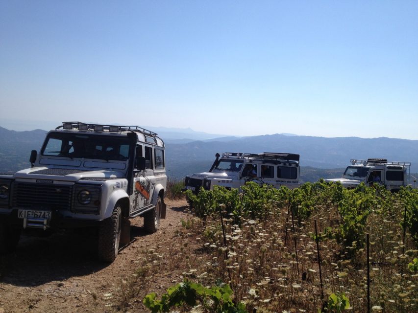 Private Exclusive Manousakis Winery and Vineyard Tour - Is $565 good value for a private group?