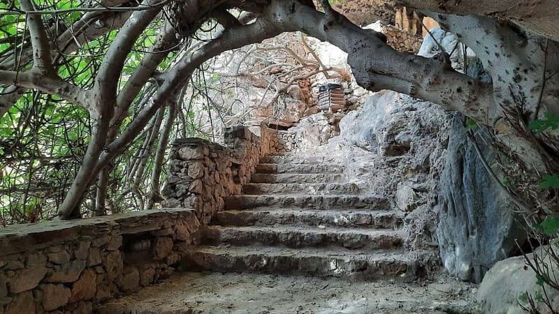Private Excursion to Elafonisi & Wisdom of God Cave - What the private format is worth