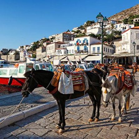 Private Excursion to Hydra Island - Flexibility when weather or plans change