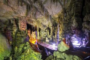 Private Full-Day East Crete Tour from Heraklion - Krasi and the Writers’ Tree: A Calm First Hour