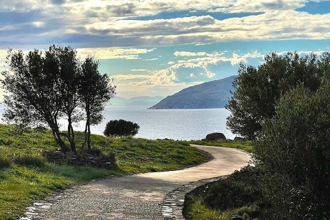 Private Full-Day Sounio Coastline Tour Attica Sunset - The 9am and 2pm departures create two different tours