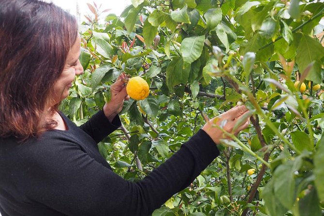 Private Greek Cooking Class in Athens-Learn to Cook with Angelina - Getting to Psichiko and handling transport