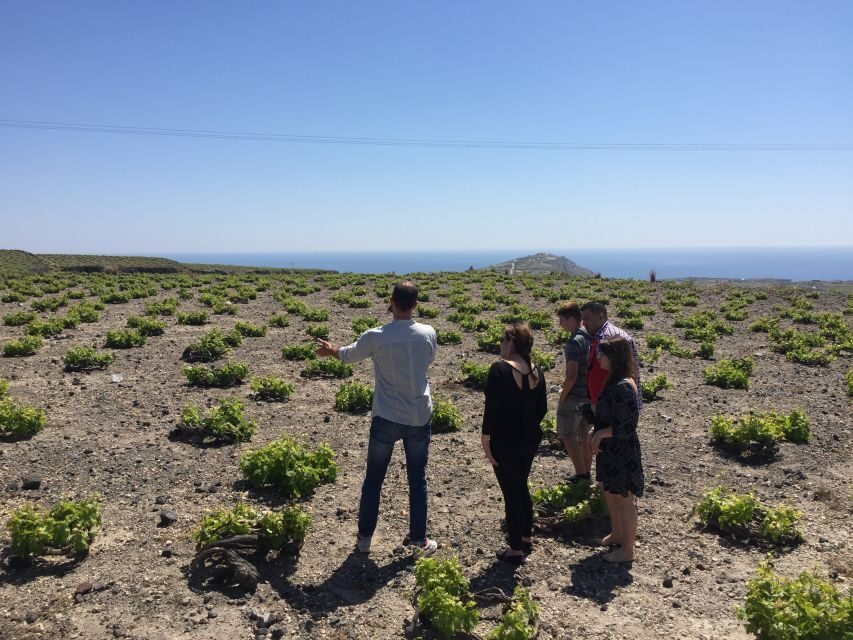 Private Group Visit to Akrotiri & 3 Wineries with Tastings - Who This Tour Fits Best
