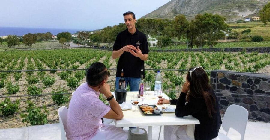 Private Group Visit to Akrotiri & 3 Wineries with Tastings - Price and Value: Why $294 Can Make Sense for a Small Group