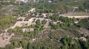 Private Guided Tour of Ancient Olympia - The oldest stadium: the Games feel real when you stand where they began