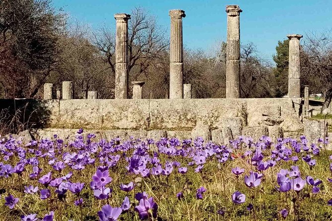 Private Guided Tour of the Archaeological Site and Museum of Olympia - Key points to know before you book