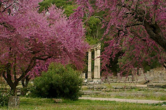 Private Guided Tour of the Archaeological Site and Museum of Olympia - Walking through the Archaeological Site of Olympia
