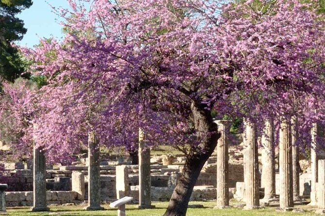 Private Guided Tour of the Archaeological Site and Museum of Olympia - Who will get the most from this Olympia tour