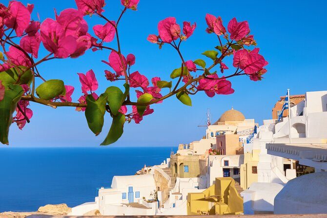 Private Half day - Best of Santorini and Wine Tasting tour - Art Space Winery: volcanic-soil grapes and your tasting hour