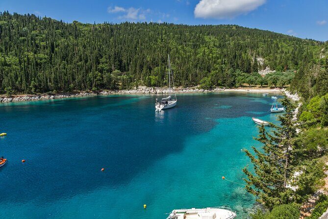 Private Half-day Kefalonia Highlights Tour - Orealios wine tasting: Robola is the reason to pause