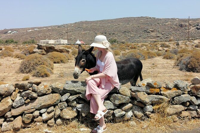 Private Half-Day Mykonos Insider Tour with Pick Up - Kalafati and Kalo Livadi Beaches: Distant Sand and Fishing-Village Backdrops