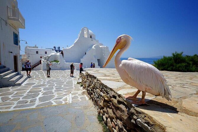 Private Half-Day Mykonos Insider Tour with Pick Up - Agrari Beach: The Quieter Side for Swimming, Snacks, and Shade