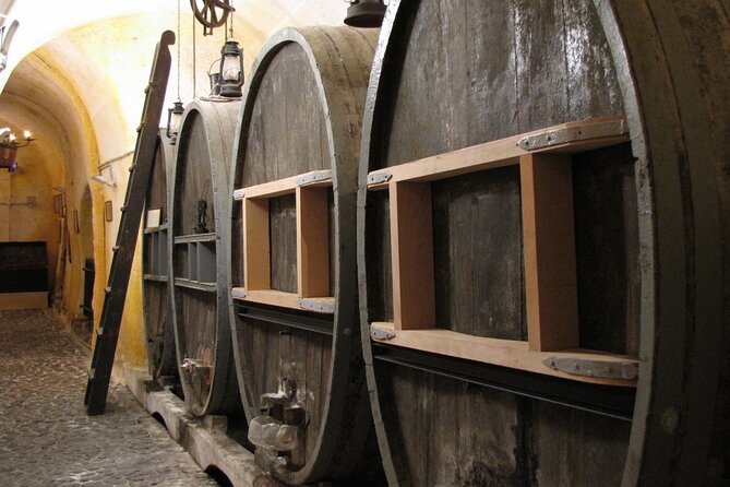 Private Half Day Tour with Wine Tasting in Santorini - Who will enjoy this tour most?
