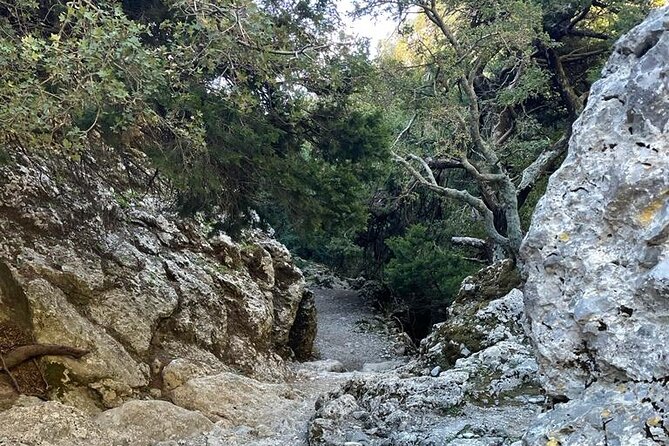 Private Hiking Tour in Imbros Gorge (Chania) - The practical issue at the end of the gorge