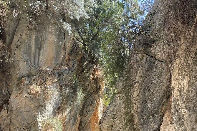 Private Hiking Tour in Imbros Gorge (Chania) - Who should book this Imbros Gorge experience?