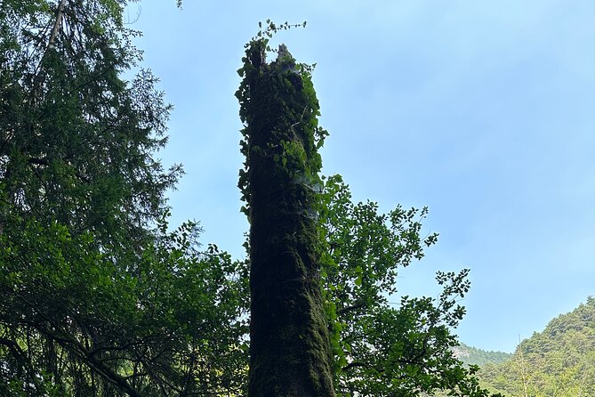 Private hiking tour to Olympus mountain - St. Dionysius cave and the return walk