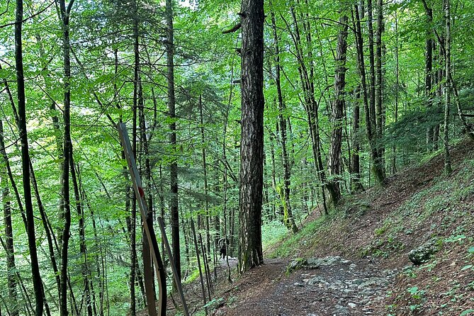 Private hiking tour to Olympus mountain - Litochoro gives you a welcome pause