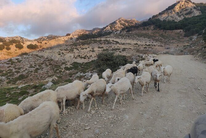 PRIVATE Jeep Safari 4x4 SUNSET (with Dinner) in Mountains CRETE - Mochos after sunset: starlit roads and optional village dinner