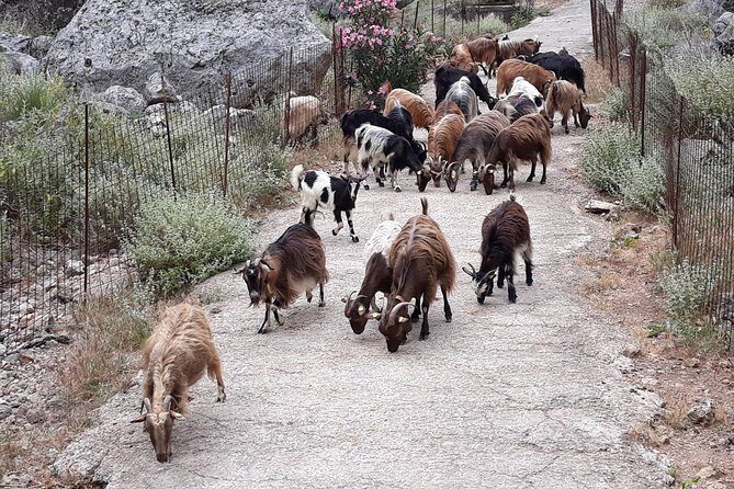 Private - Jeep Safari Tour with Lunch and Tastings - Your 8-hour route: what the timing really means