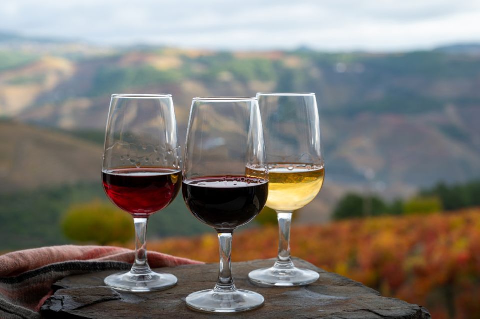 Private Knossos Skip The Line Tour inc. lunch & wine tasting - Should you book the Knossos, wine, and Archanes tour?