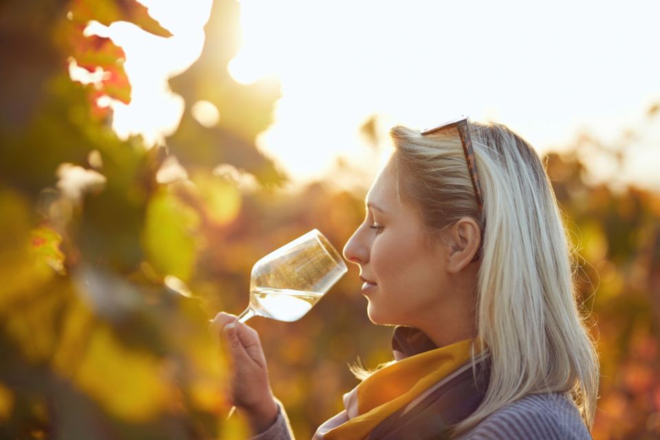 Private Knossos Skip The Line Tour inc. lunch & wine tasting - Six wines at a family-run Cretan winery