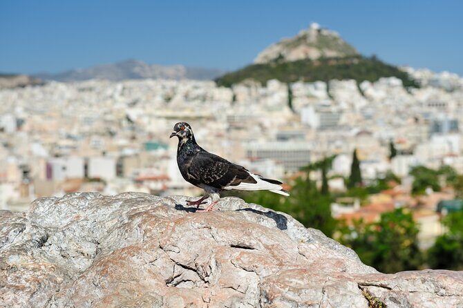 Private Luxury Biblical Tour: Apostle Paul in Athens & Corinth - Ancient Agora to Areopagus Hill: the views help the meaning