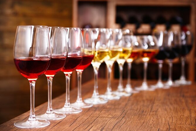 Private Luxury wine tour in Ancient Nemea and vineyards. - First winery: learning through a broad tasting