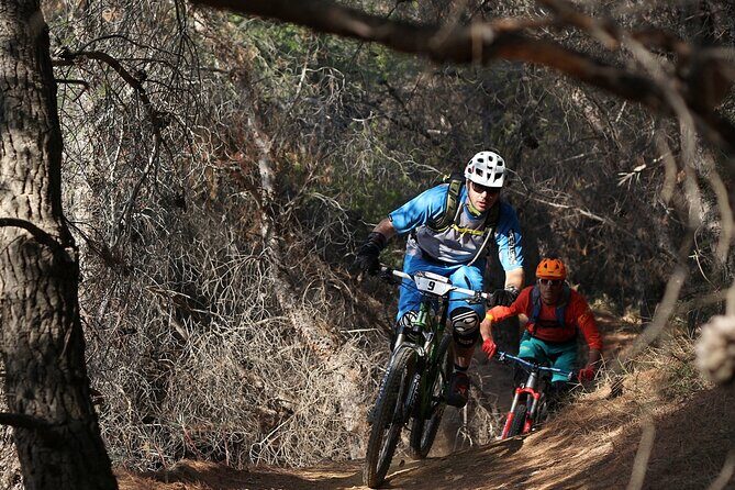 Private Mountain Bike,Trail Ride Tour of Mount Ymittos, Athens. - Who Should Book This MTB Tour Above Athens