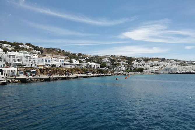 Private Mykonos island sightseeing tour. - Is $185.22 per person a fair price?