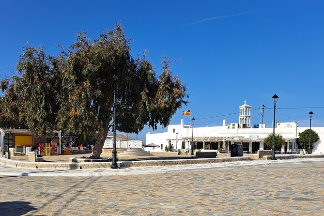 Private Mykonos island sightseeing tour. - Who will get the most from this outing?