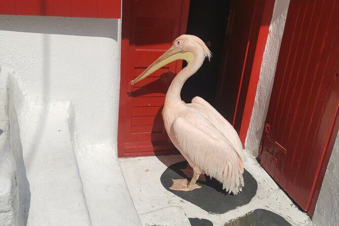 Private Mykonos Tour with Luxury car - Stop 4: Little Venice (Where the “Just One More Photo” Happens)