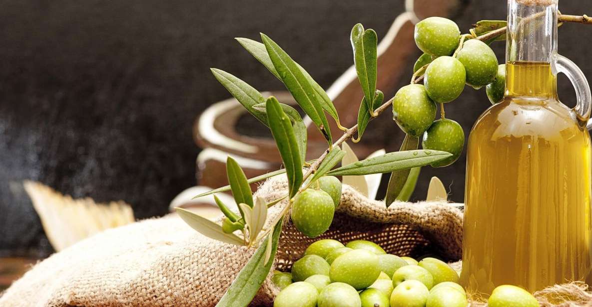 Private Olive Oil Tour & Tasting with Lunch from Katakolo - Lunch beneath the trees in a Greek village