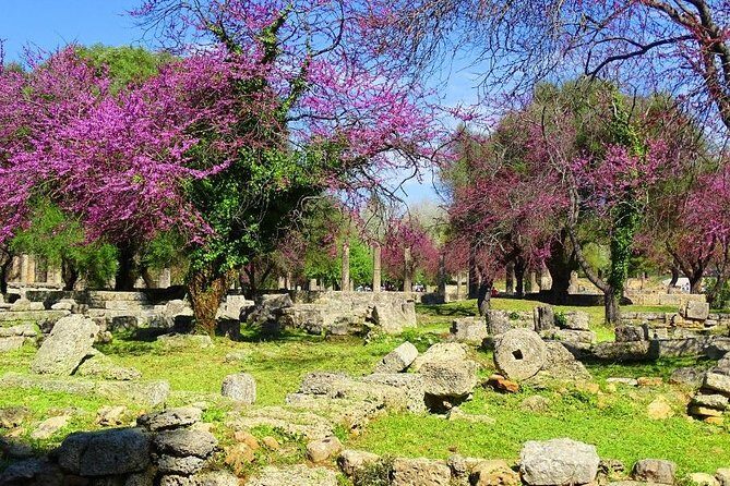 Private Olympia tour (4.5 hours) - Olympia in 4.5 hours: what you’ll actually see