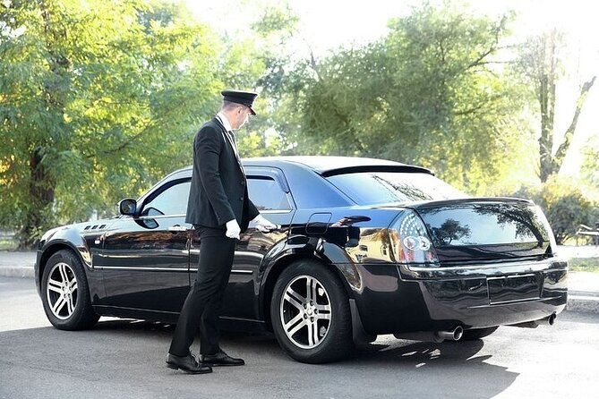 Private One-way Transfer From Mykonos Airport To Mykonos - The meet-and-greet pickup