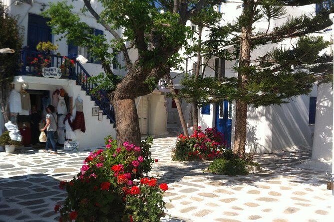 Private Only "The Highlights" Walking tour - What you’re paying for: $179.02 per person that aims at value, not volume