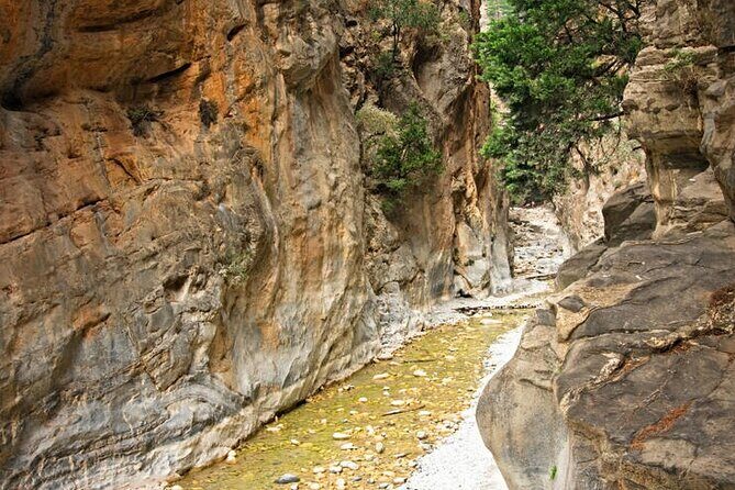 Private Roundtrip Transfer from Chania to Samaria Gorge Park - Driving From Chania to the Samaria Gorge Entrance (Then Back Again)