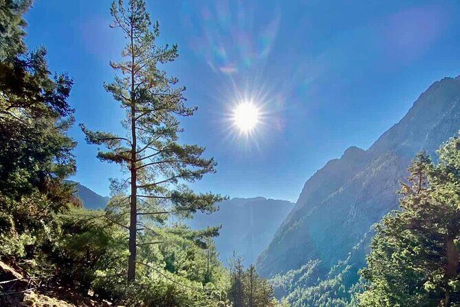 Private Roundtrip Transfer from Chania to Samaria Gorge Park - The Gorge Walk Plan: 17 km of Descent to Agia Roumeli