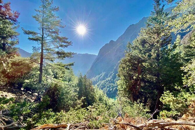 Private Roundtrip Transfer from Chania to Samaria Gorge Park - What to Pack (So You’re Not Buying Essentials Mid-Day)