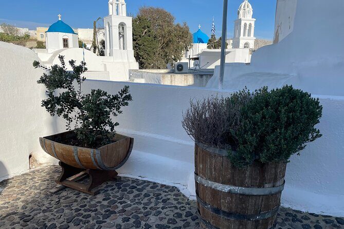 Private Santorini Daytime Wine Tour - Gavalas Winery and Gaia Winery: generations plus a converted tomato factory