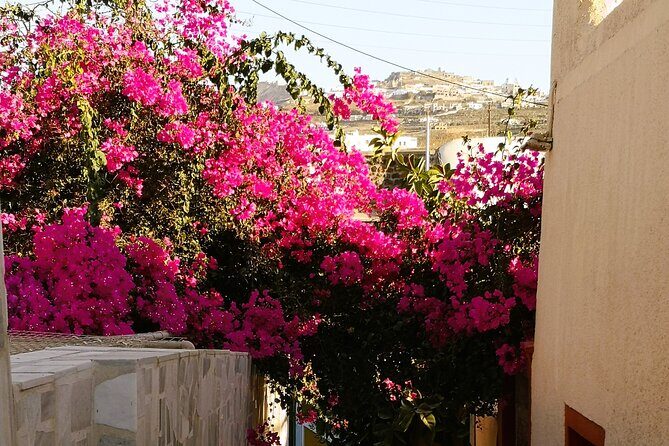 Private Santorini Highlights Tour with Easy and Flat Walks - A stress-light Santorini plan that still feels complete