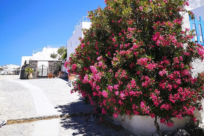 Private Santorini Highlights Tour with Easy and Flat Walks - Pickup that’s built for real-life hotels and cruise days