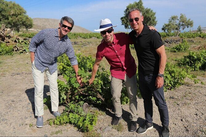 Private Santorini Sunset Wine Tour with Tastings and Tapas - What you actually taste: 15 styles, volcanic varietals, and vinsanto