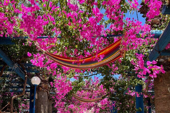 PRIVATE-South Crete-Matala Beach-Olive oil- Wine-Old Villages - Key highlights worth your time