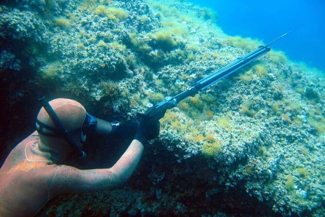 Private Spearfishing Trip From Athens - From Athens hotel to coastal fishing ground