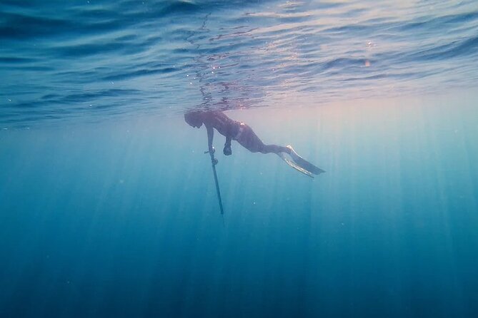 Private Spearfishing Trip From Athens - Morning or evening timing